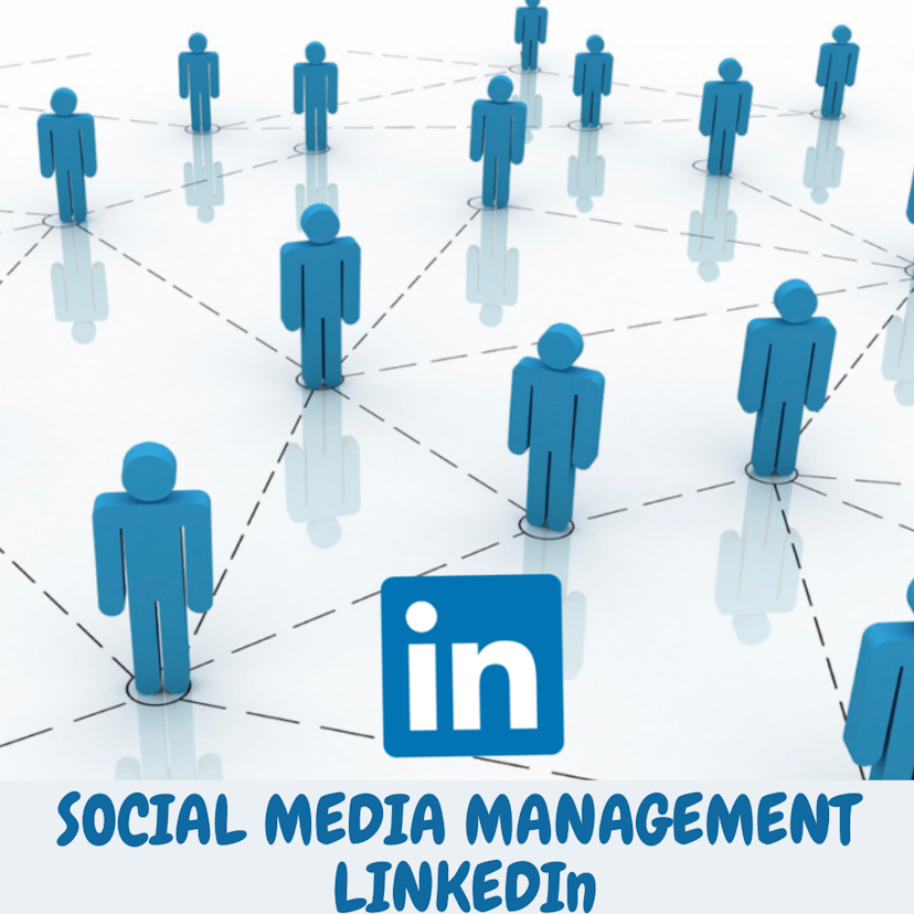 Social media management LinkedIn